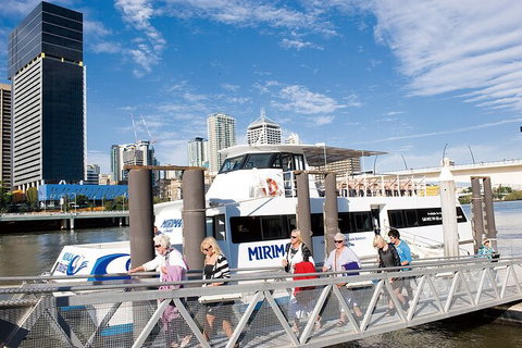 Brisbane Highlights And Lone Pine Cruise From Gold Coast - Food Delivery Shop 13