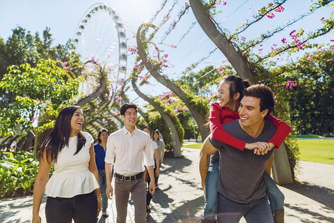 Brisbane Highlights And Lone Pine Cruise From Gold Coast - Food Delivery Shop 12