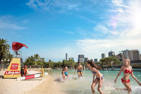 Brisbane Highlights And Lone Pine Cruise From Gold Coast - Food Delivery Shop 9