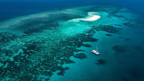 Outer Barrier Reef Sailing And Snorkeling Adventure From Port Douglas - Food Delivery Shop 2