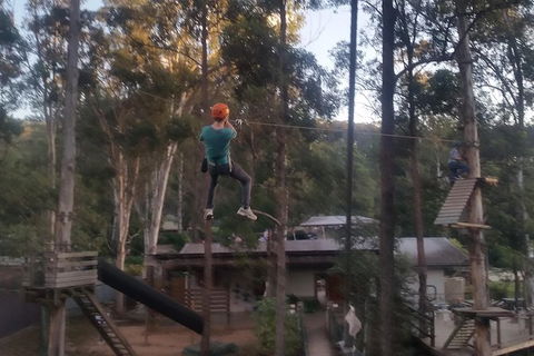 Tamborine Mountain Daily Service, Treetop Challenge And Thunderbird Park - Food Delivery Shop 1