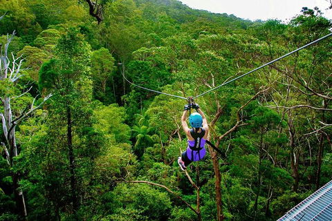 Tamborine Mountain Daily Service, Treetop Challenge And Thunderbird Park - Food Delivery Shop 9