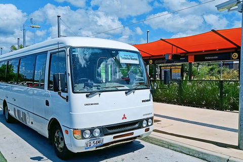 Tamborine Mountain Daily Service, Treetop Challenge And Thunderbird Park - Food Delivery Shop 10