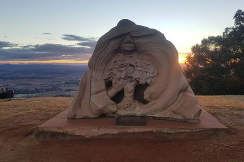 Tamborine Mountain Daily Service, Treetop Challenge And Thunderbird Park - Food Delivery Shop 11