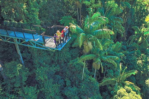 Tamborine Mountain Daily Service, Treetop Challenge And Thunderbird Park - Food Delivery Shop 12