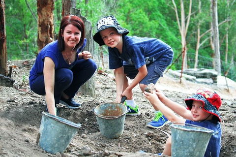Tamborine Mountain Daily Service, Treetop Challenge And Thunderbird Park - Food Delivery Shop 8