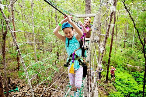 Tamborine Mountain Daily Service, Treetop Challenge And Thunderbird Park - Food Delivery Shop 4
