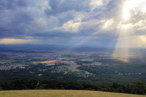 Tamborine Mountain Daily Service, Treetop Challenge And Thunderbird Park - Food Delivery Shop 3