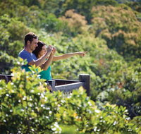 Conway National Park Coral Beach Walk including Shute Harbour from Airlie Beach - Food Delivery Shop