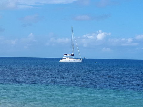Afternoon Low Isles Snorkeling And Sailing Cruise From Port Douglas - Food Delivery Shop 7