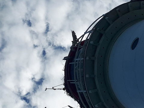 Afternoon Low Isles Snorkeling And Sailing Cruise From Port Douglas - Food Delivery Shop 3