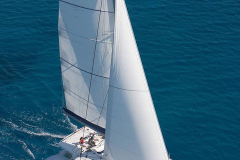 Afternoon Low Isles Snorkeling And Sailing Cruise From Port Douglas - Food Delivery Shop 11