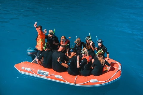 Whitehaven Beach And Hill Inlet Lookout Full-Day Snorkeling Cruise By High-Speed Catamaran - Food Delivery Shop 11