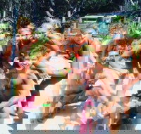 1770 CASTAWAY SURVIVOR 3 Day 2 Night Island Adventure Tour - Food Delivery Shop