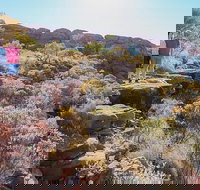 Kings Canyon Day Trip from Ayers Rock - Food Delivery Shop