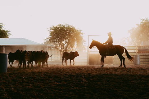 Skip-the-Line Katherine Outback Experience Show Ticket - Food Delivery Shop 3
