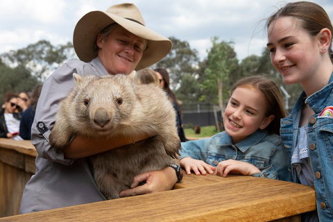 Full Day Sydney Tour With Opera House And The Rocks Tour - Food Delivery Shop 28