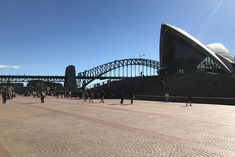 Fantastic Race Sydney - Food Delivery Shop 1