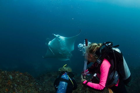 5-Hour Byron Bay Introductory Scuba Diving Tour - Food Delivery Shop 2