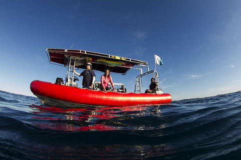 5-Hour Byron Bay Introductory Scuba Diving Tour - Food Delivery Shop 10