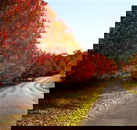 Charles Sturt University Winery - Food Delivery Shop