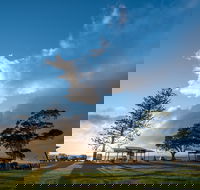 Cleveland Nandeebie/Indillie - Pet Food Australia