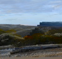 Cleve Hills Scenic Drive  Lookout - Pet Food Australia