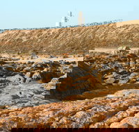 Corny Point Lighthouse - Pet Food Australia