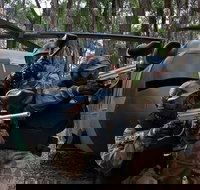 Delta Force Paintball Appin - Pet Food Australia