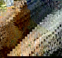 Devil's Gullet - Pet Food Australia