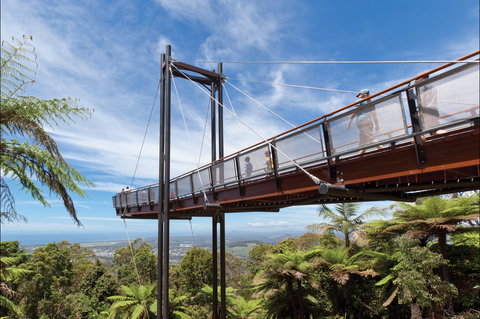 Forest Sky Pier, Sealy Lookout - Food Delivery Shop 0