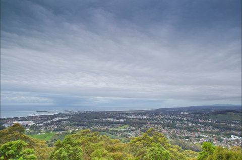 Forest Sky Pier, Sealy Lookout - Food Delivery Shop 2