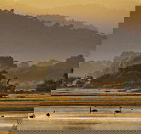 Greens Beach - Food Delivery Shop