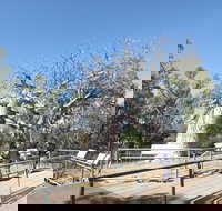 Gregory's Tree Timber Creek - Pet Food Australia