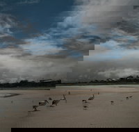 Hardwicke Bay - Pet Food Australia