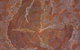 Kate Owen Gallery - Contemporary Aboriginal Art - thumb 0