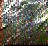 Kinglake Forest Adventures - Pet Food Australia