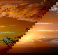 Lady Stonehavens Lookout - Pet Food Australia