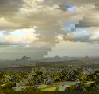 Mary Cairncross Scenic Reserve Rainforest Walk - Pet Food Australia