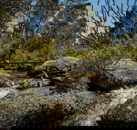 Pallaibo walking track - Food Delivery Shop