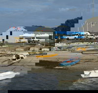 Rebuild Independence Project - Pet Food Australia