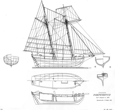 Rebuild Independence Project - Pet Food Australia 1