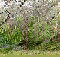 Scutts Hut Trail - Pet Food Australia