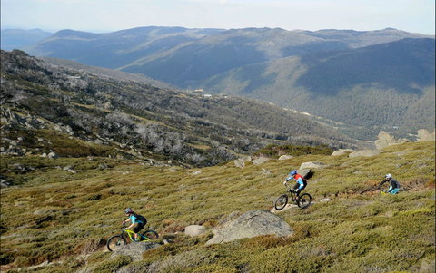 Thredbo Mountain Biking - Food Delivery Shop 0