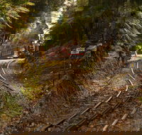 West Coast - Food Delivery Shop