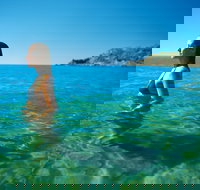 Agnes Water Beach - Food Delivery Shop