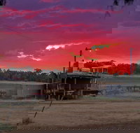 Baan Baa - Pet Food Australia