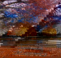 Bells Parade Reserve - Food Delivery Shop