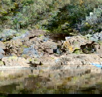 Boonoo Boonoo National Park - Pet Food Australia