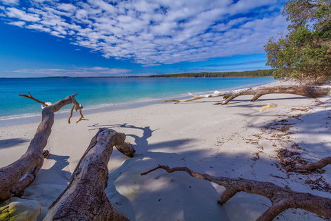 Bristol Point Beach - Food Delivery Shop 0